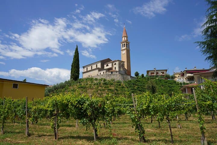 Prosecco Hills Day Trip from Venice: Wine, Villages & Cartizze Viewpoint photo 3