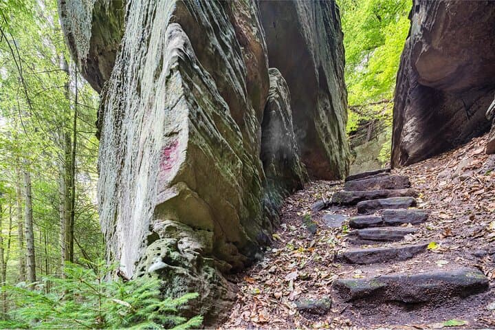 green-hell-self-guided-forest-hike-with-cake-finale-at-waldhotel photo 2