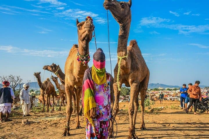12-Day Royal Rajasthan Tour from Udaipur: Forts, Lakes & Desert Safari photo 2