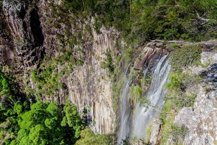 Rainforest Glamping near Byron Bay: 2-Night Nightcap National Park Escape photo 3