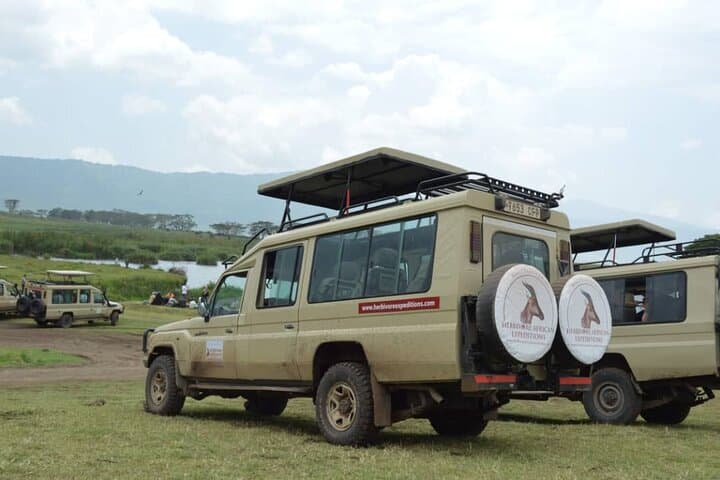8-Day Luxury Safari Through Tarangire, Serengeti & Ngorongoro — Peak Migration Experience photo 2