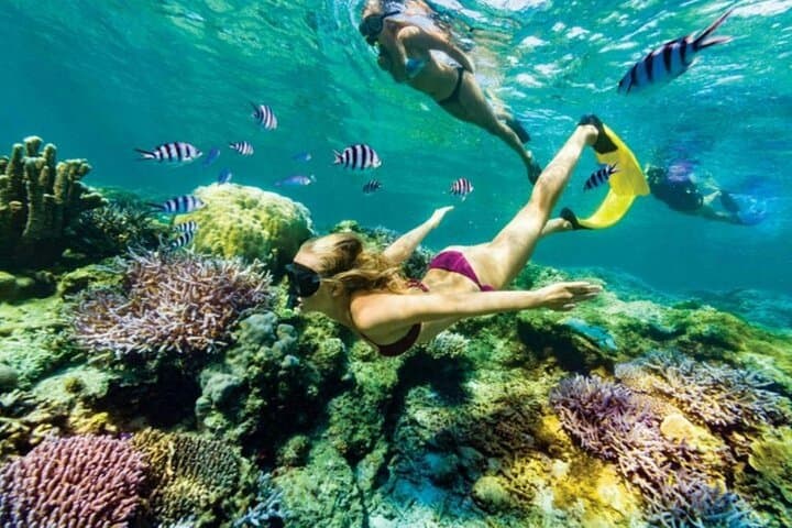 Blue Lagoon Snorkel at Padangbai — Full-Day Tour with Lunch & Guide photo 5