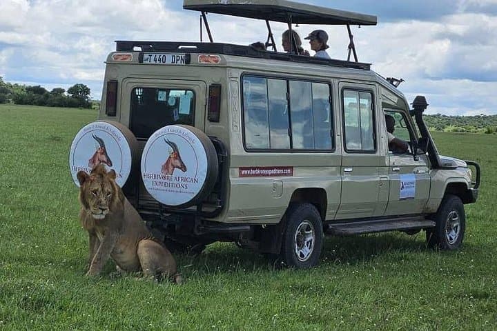 5-Day Fly-In Safari: Serengeti Great Migration & Mara River Crossings photo 2