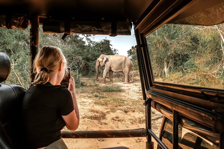 Majestic Sri Lanka: 13-Day All-Inclusive VIP Tour — Sigiriya, Kandy, Ella & Yala photo 3