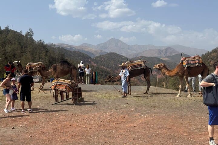 Ourika Valley Day Trip from Marrakech: Waterfalls, Berber Villages & Argan Co‑ops photo 3