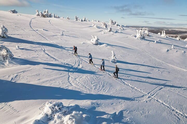 Lapland Wilderness Adventure: Snowshoeing & Aurora Watching in Ylläs