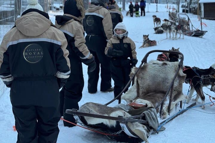 Short Husky Ride and Farm Introduction in Raitola, Rovaniemi photo 3