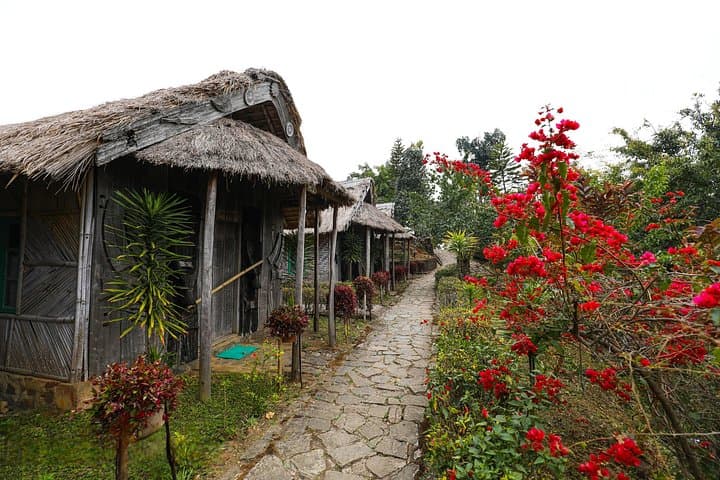 Nagaland & Assam Soft Trekking: Tribal Villages, Majuli & Tea Gardens photo 4