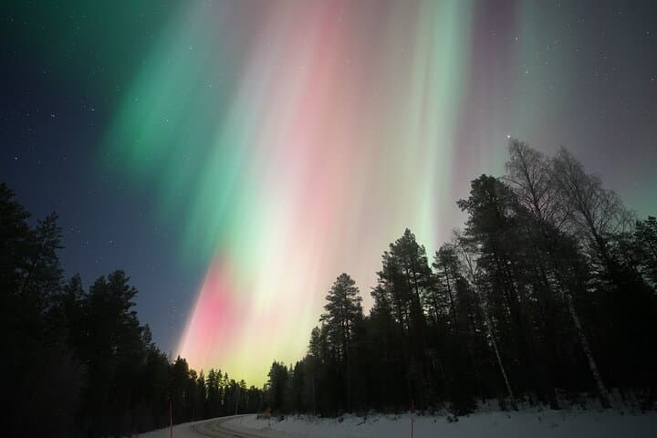 Rovaniemi Multi-Night Northern Lights Chase — Guaranteed Aurora Tours photo 3