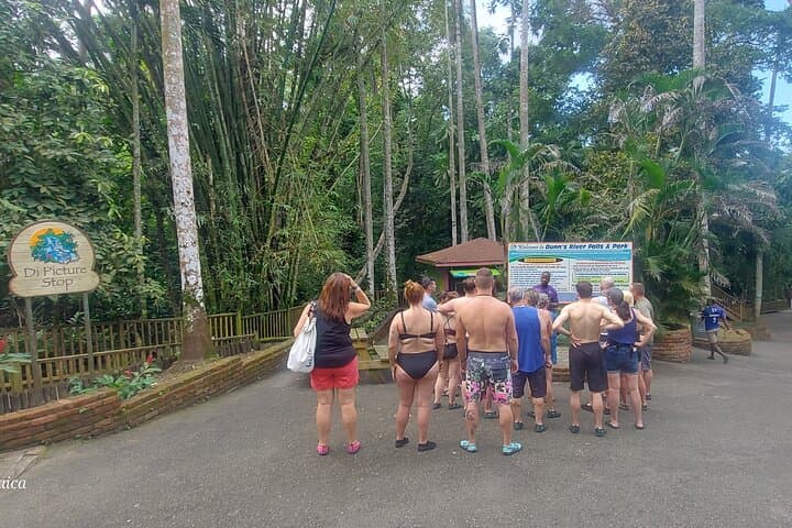 Private Dunn's River Falls Climb from Falmouth — Guided Waterfall Adventure photo 3