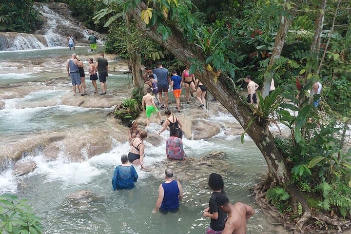 Private Dunn's River Falls Climb from Falmouth — Guided Waterfall Adventure photo 5