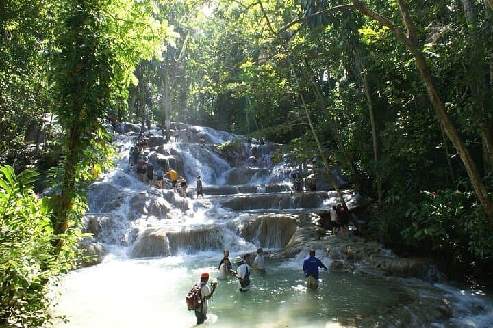Private Dunn's River Falls Climb from Falmouth — Guided Waterfall Adventure photo 4