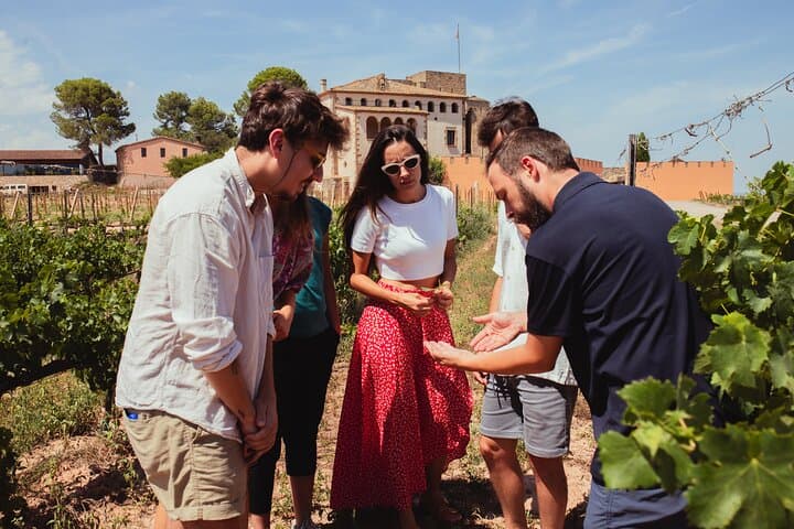 Two-Day Montserrat & Oller del Mas Winery Retreat from Barcelona photo 4