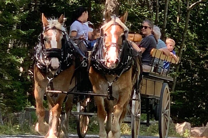 Explore Acadia's Carriage Roads on a Premium Specialized E-Bike Rental photo 6