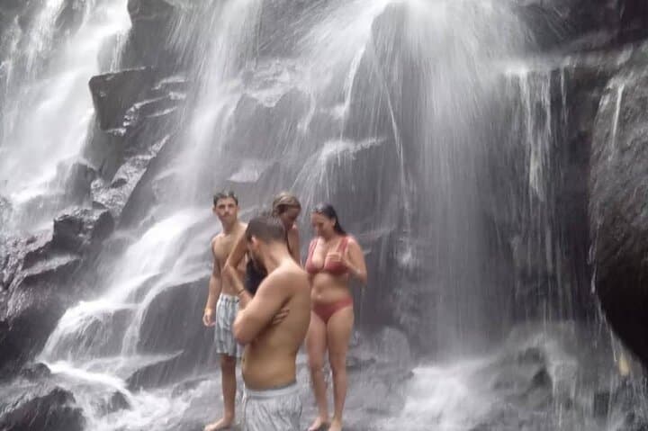 Ubud Private Highlights & Tlaga Singha Jungle Infinity Pool Day Tour photo 4