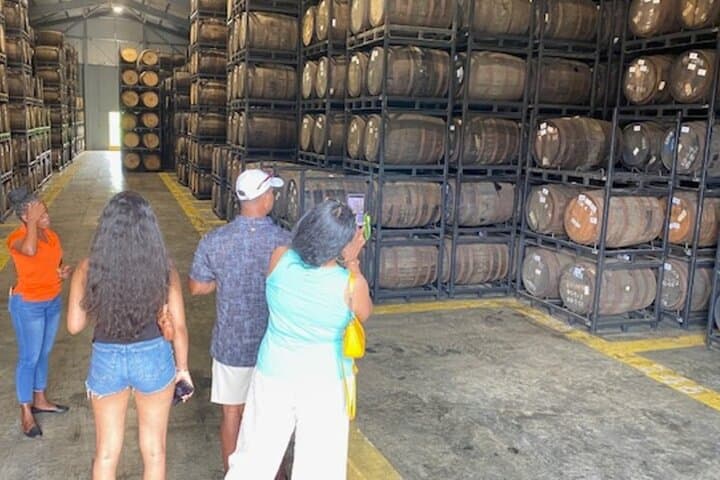 St. Lucia Chocolate Making and Rum Tour: Marigot Bay Distillery & Truffle Class