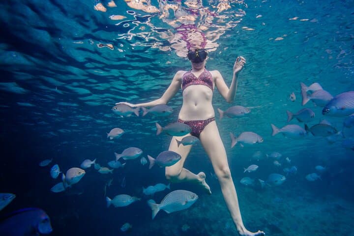 Snorkel Santa Iria Bay: Volcano Reefs & Coastal Cliffs from Rabo de Peixe photo 2