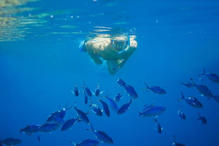 Snorkel Santa Iria Bay: Volcano Reefs & Coastal Cliffs from Rabo de Peixe photo 4