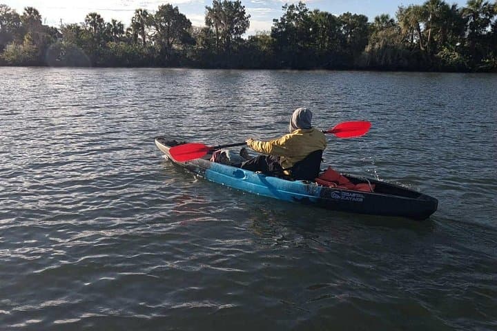 Guided Kayak Tour of Crystal River Springs: Manatees, Clear Springs & Wildlife photo 4