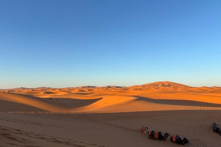 4-Day Fes to Marrakech Desert Tour via Merzouga: Camel Rides, Dunes & Kasbahs photo 1