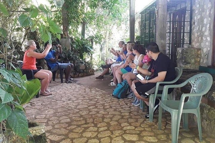 Rockland Bird Sanctuary Hummingbird Feeding & Montego Bay Panorama (Private Tour) photo 3