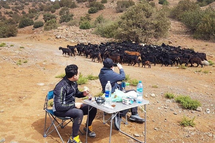 Dades Gorge Cycling Tour: Ride Through Roses Valley & Berber Villages photo 3