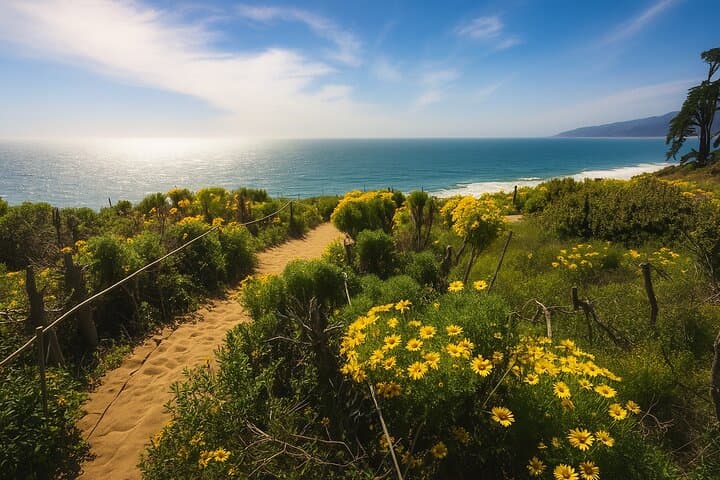Malibu Waterfall Hike & Pacific Coast Drive: Escondido Falls Half-Day Private Tour photo 2