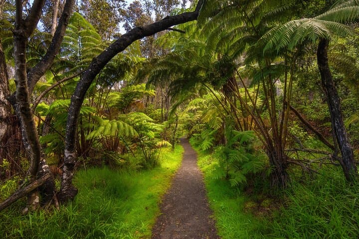 Inside Hawai‘i Volcanoes National Park: Expert-Led Private Guided Adventures That Support Conservation photo 3