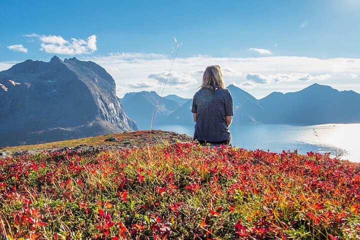 Tromsø Fjord Expedition: Arctic Fjords, Wildlife & Scenic Coastal Drive