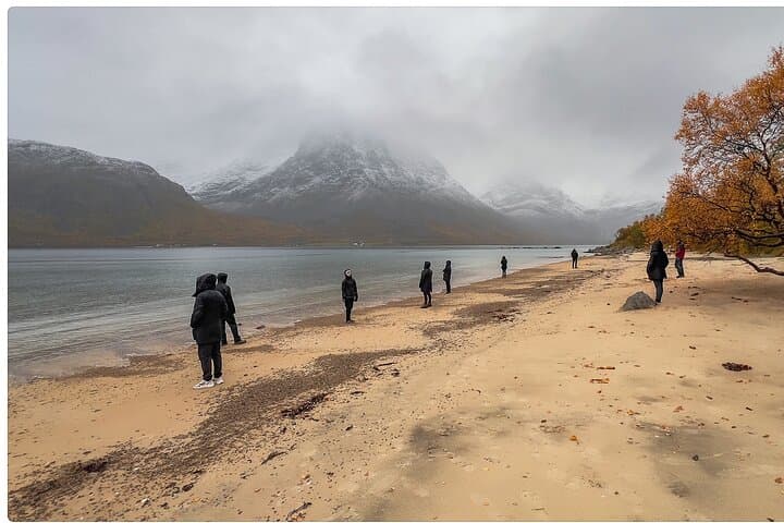 Tromsø Fjord Expedition: Arctic Fjords, Wildlife & Scenic Coastal Drive photo 5