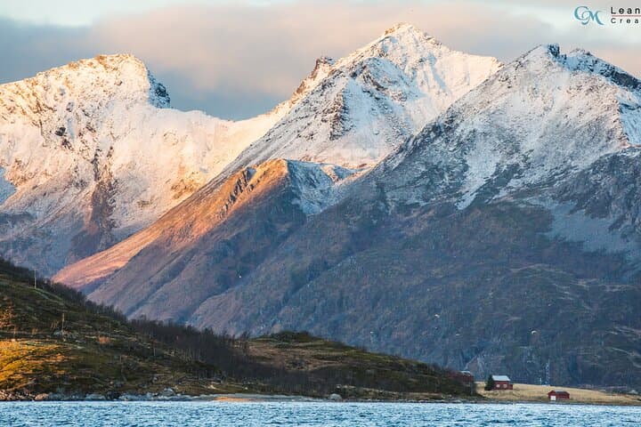 Tromsø Fjord Expedition: Arctic Fjords, Wildlife & Scenic Coastal Drive photo 2