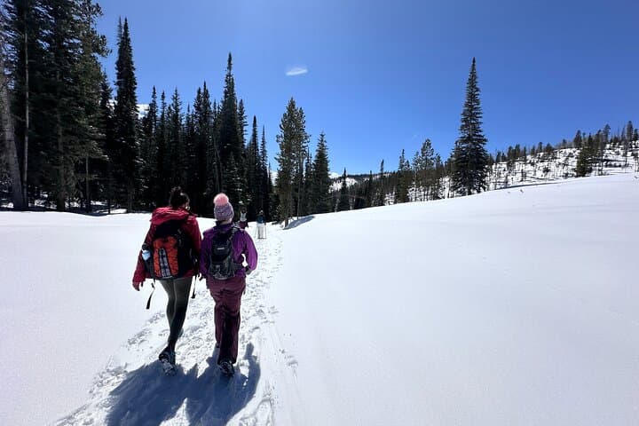 Front Range Foothills Hike and Brewery Tour from Denver photo 4