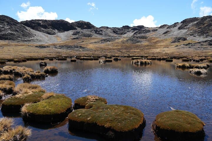 Hike to Singrenacocha Lagoon near Ausangate — Day Tour from Cusco photo 4