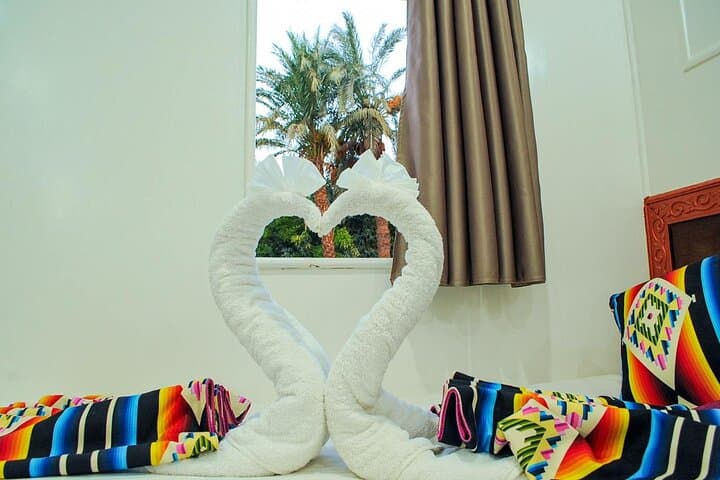 Romantic Egypt Honeymoon: Nile Cruise, Luxor Balloon & Red Sea Escape photo 2