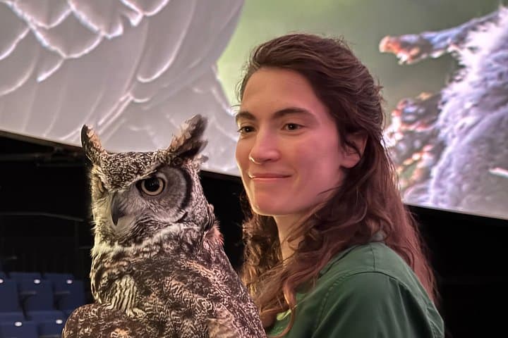 Sitka Raptor Experience & Salmon Tales Lunch — Live Eagles, Dome Film & Local Storytelling photo 4