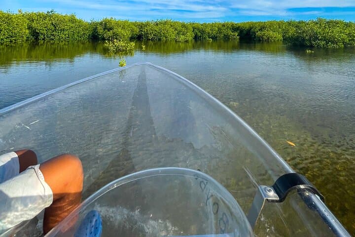 Clear-Bottom Mangrove Boat Tour — North Creek, Grand Turk photo 4