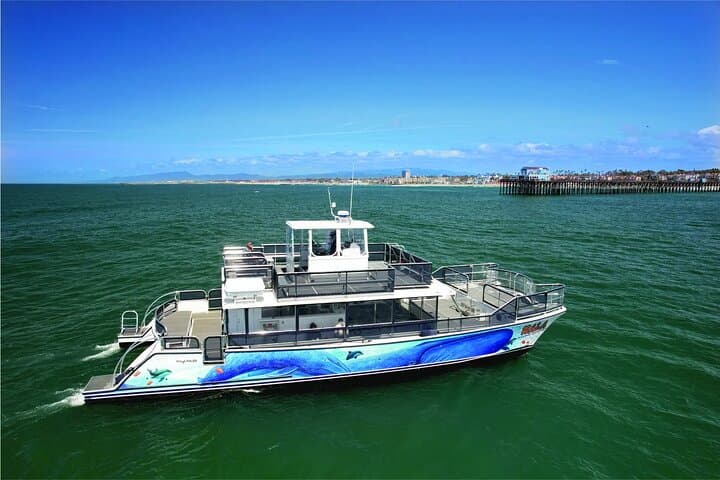 Luxury Two-Hour Whale Watching from Oceanside Harbor photo 3