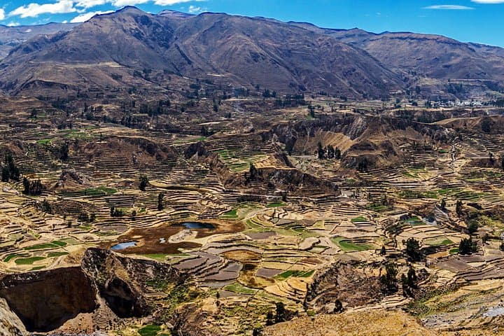 Colca Canyon Full-Day All-Inclusive Tour: Condors, Hot Springs & Andean Highs photo 4