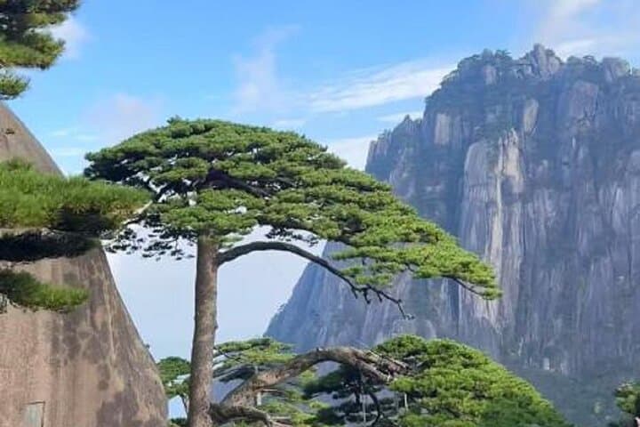 Huangshan Day Tour: Hiking Yellow Mountain Above the Clouds photo 3
