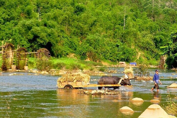 Pu Luong Morning Hike, Bamboo Rafting & Water Wheels: Half-Day Eco Tour photo 6