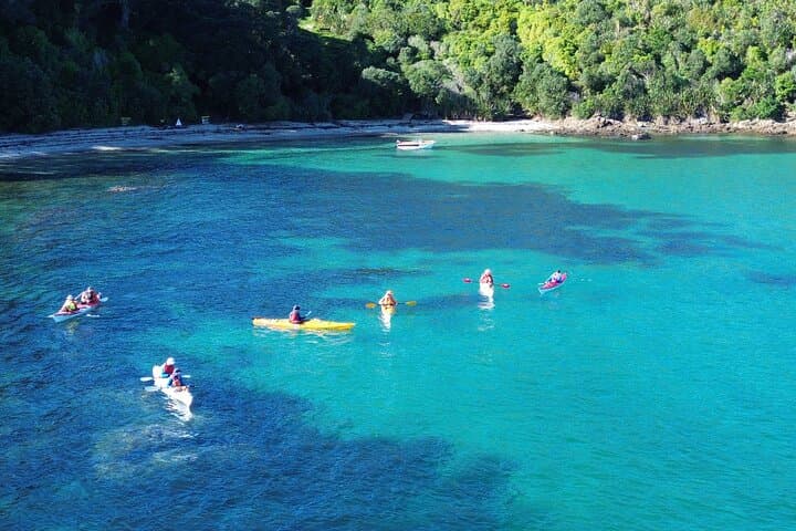 Tiritiri Matangi Sea Kayak: Full-Day Wildlife Paddle from Auckland photo 1