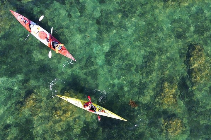 Tiritiri Matangi Sea Kayak: Full-Day Wildlife Paddle from Auckland photo 2