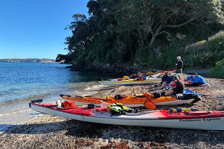Tiritiri Matangi Sea Kayak: Full-Day Wildlife Paddle from Auckland photo 4