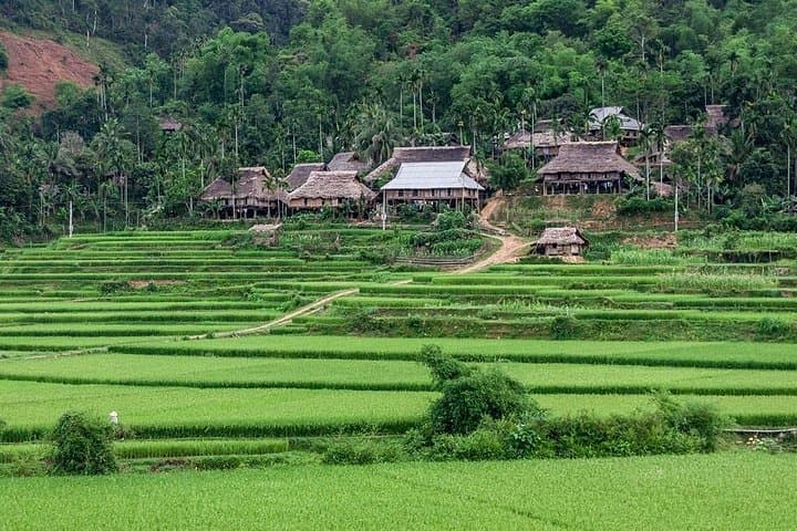 Pu Luong Afternoon Trek: Bat Cave, Rice Terraces & Taidam Village Life photo 3