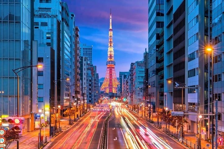 Tokyo After Dark: Private Night Tour with English-Speaking Driver