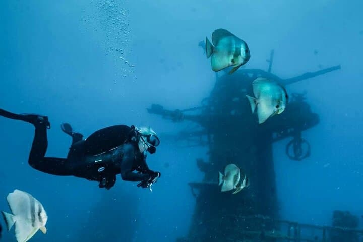 Dive the Ex-HMAS Swan Wreck: Two-Tank Charter Off Dunsborough photo 3