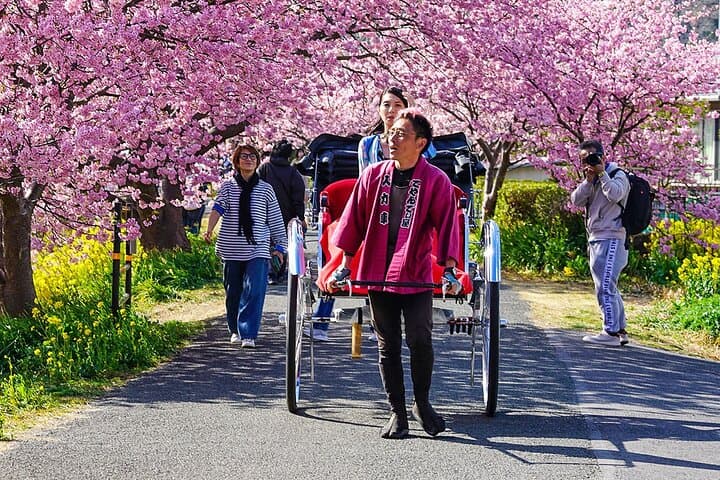 Japan Mini Group Tour from Tokyo: Mt. Fuji, Hakone & Tokyo Highlights (4-Day)