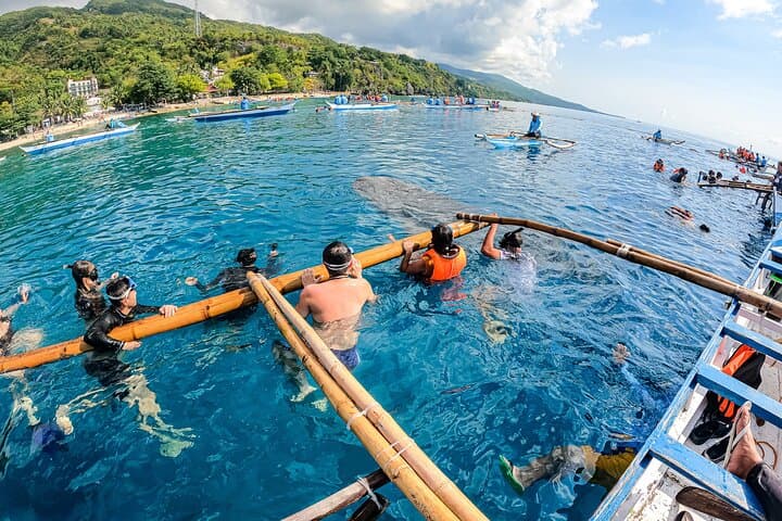 Oslob Whale Shark Encounter, Tumalog Waterfall & Sumilon Sandbar Day Tour