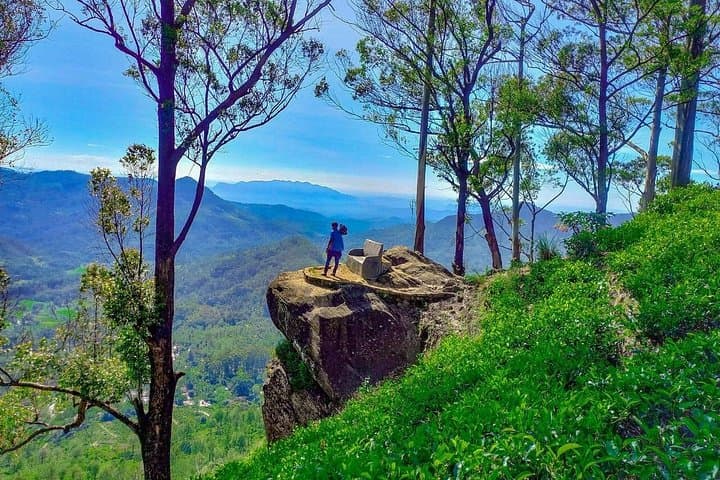 Kitulgala to Coast: Sri Lanka Hill-Country and Coastal Escape (6-Day) photo 4