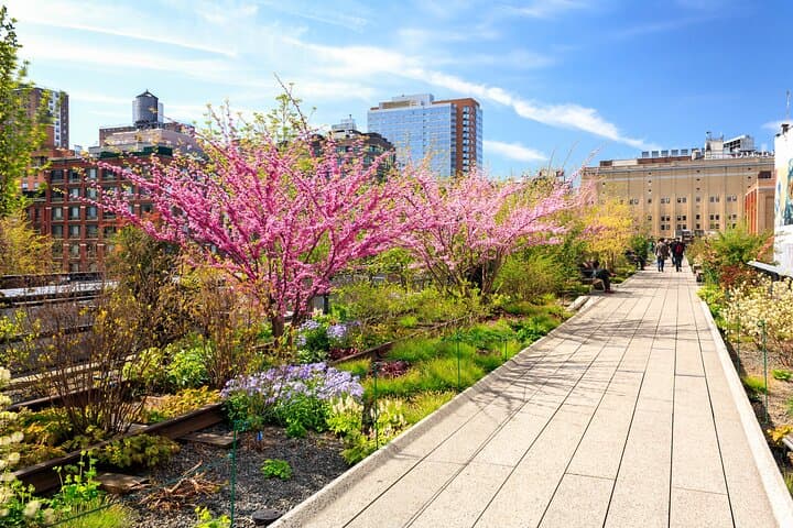 High Line and Chelsea Walking Tour: Morning Small-Group Experience